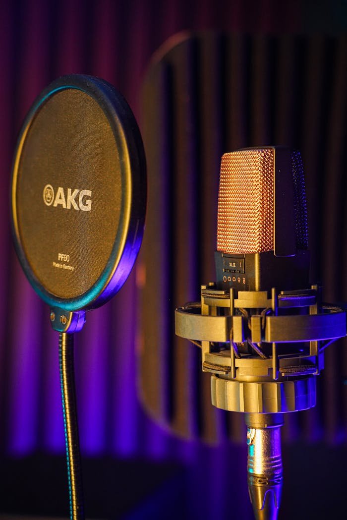 Close-up of a studio microphone and pop filter in a music recording studio.